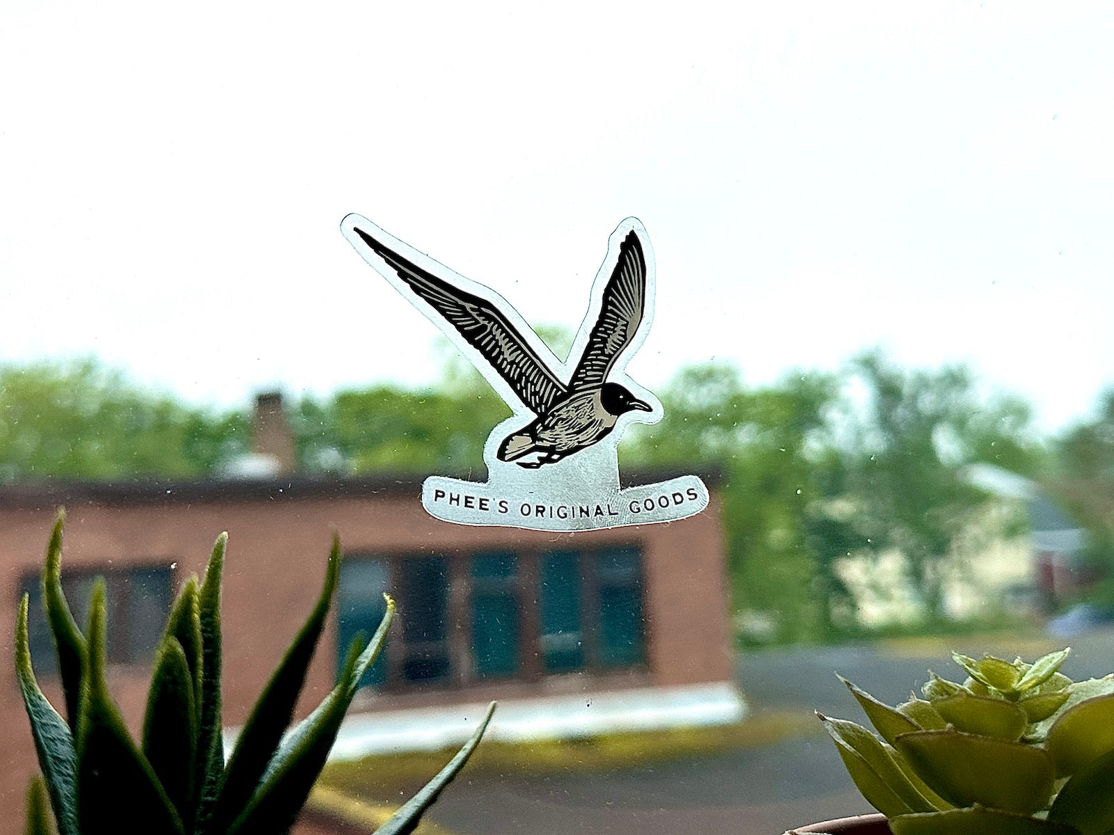 Clear backed Phee's Original Goods Gull sticker on a window overlooking Sydney